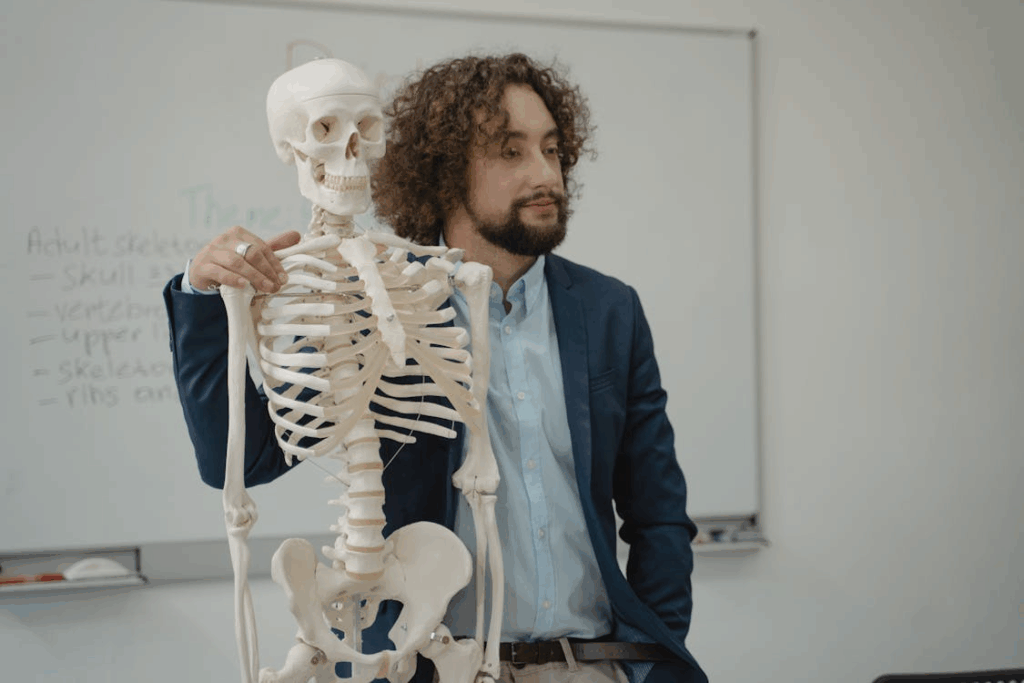 Teaching skeleton in classroom, illustrating the legitimate market for medical specimens.