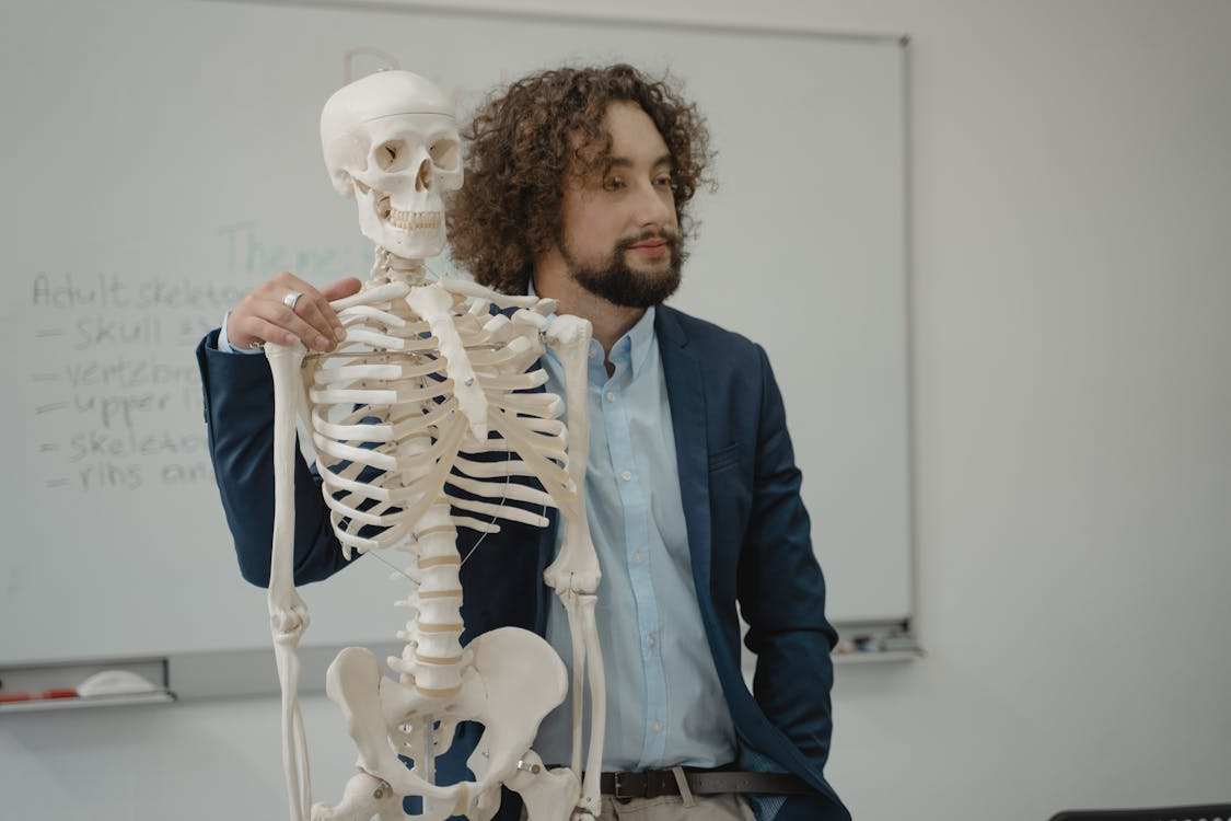 Teaching skeleton in classroom, illustrating the legitimate market for medical specimens.